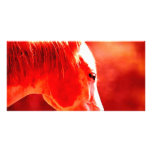 Pop Art Horse Head Customized Photo Card
