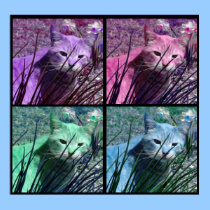 Pop Art Tiger Cat Poster posters