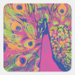Pop Peacock Stickers