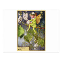 Poplar Fairy Postcard