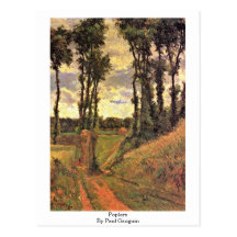 Poplars By Paul Gauguin Postcards