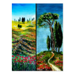 POPPIES, CYPRESS AND MEDITERRANIAN PINE IN TUSCANY POSTCARDS