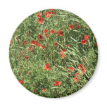 poppies everywhere magnet