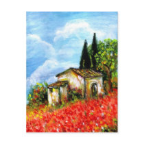 POPPIES IN TUSCANY POSTCARDS