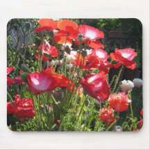 Poppies mousepad