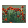 Poppies No. 3 | Postcard