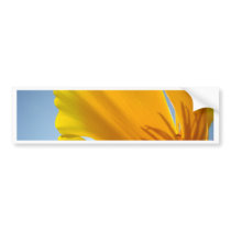 POPPIES Orange Poppy Flowers 13 Cards Gifts Mugs