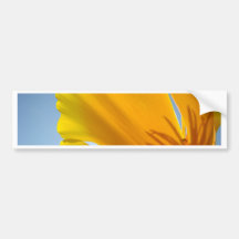 POPPIES Orange Poppy Flowers 13 Cards Gifts Mugs Bumper Stickers
