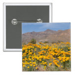 Poppies Pin
