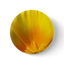 POPPIES POPPY Flowers BUTTONS BUTTON Gifts Florals
