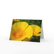 POPPIES POPPY Flowers GREETING CARDS NOTE CARDS