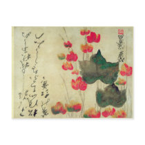 Poppies Postcards