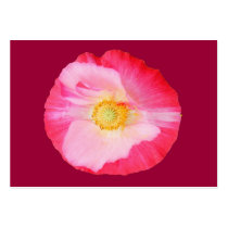 Poppy 90 ~ ATC