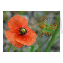 POPPY BIRTHDAY GREETING CARDS