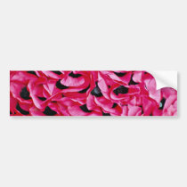 Poppy day  flowers bumper stickers