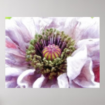 Poppy - Elegant Purple Ruffles Print