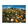 Poppy Festival California Postcards