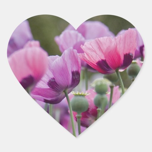 Poppy Field Heart Sticker