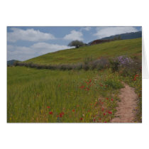 Poppy field path cards