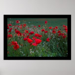 Poppy Field. Poster by cARTerART