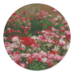 Poppy Field Stickers