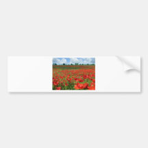 Poppy Fields Bumper Stickers