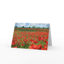Poppy Fields Cards