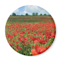 Poppy Fields Refrigerator Magnet