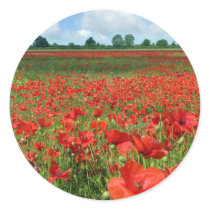 Poppy Fields Sticker