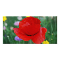 Poppy flower and meaning custom photo card