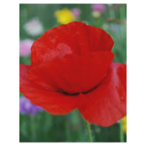 Poppy flower and meaning letterhead design