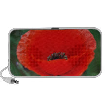 Poppy flower and meaning notebook speakers