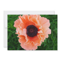 Poppy Flower Invitation