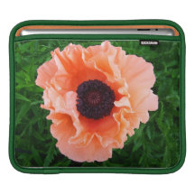 Poppy Flower  iPad Sleeve