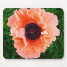 Poppy Flower Mouse Pad
