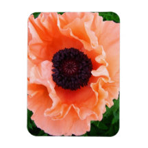 Poppy Flower Premium Magnet