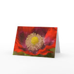 Poppy Greeting Card