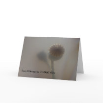 Poppy Head Two little words THANK YOU Card