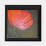 Poppy Magnet