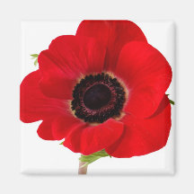 Poppy magnet