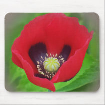 Poppy Mousepad