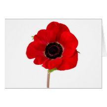 POPPY of Remembrance Cards