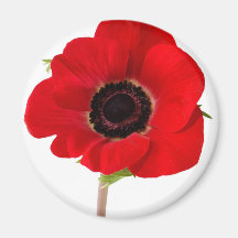 POPPY of Remembrance Magnet