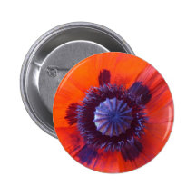 poppy,oriental red poppy pins