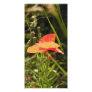 Poppy Photo Card