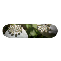 Poppy pod skateboard