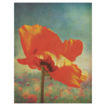 Poppy Poster Full Colour Flyer