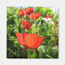 Poppy Refrigerator Magnet