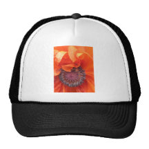 Poppy Seed Hat