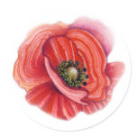 Poppy Sticker